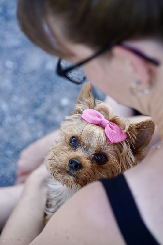 Hundefotografie Bern – Lilly Emma Nero